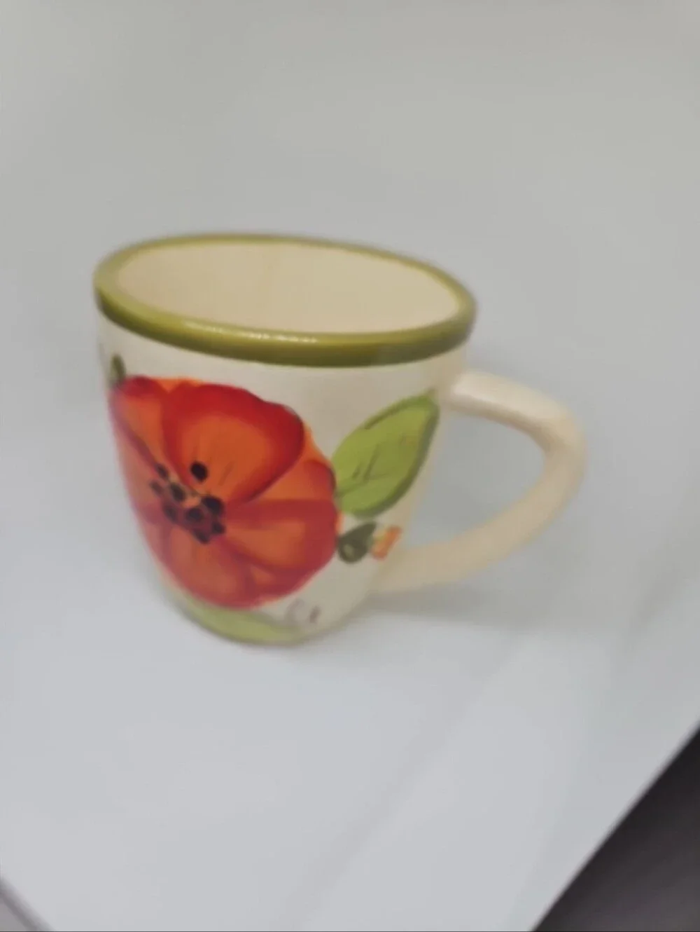 Pier 1 Imports Olivia 16oz Earthenware Hand Painted Poppy Flowers Mug